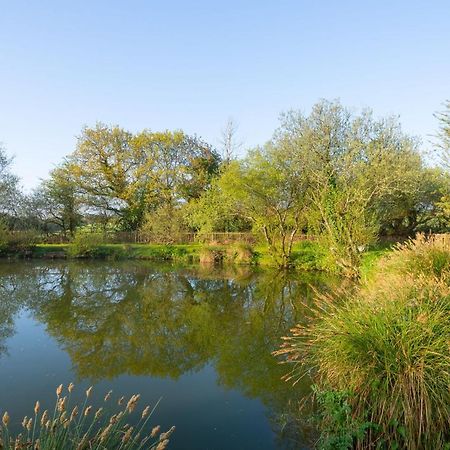 Our Goldfinch 1- Sleeps 2 Persons- Private Hot Tub-Pet Friendly-Tranquil Holiday Away From It All Yet Not Far From St Austell- The Holiday Home Has One Bedroom, Living And Dining Area, Equipped Kitchen-Decking-Outdoor Furniture-Fishing Lakes And More Grampound Dış mekan fotoğraf